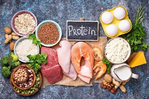 table full of food that is high in protein