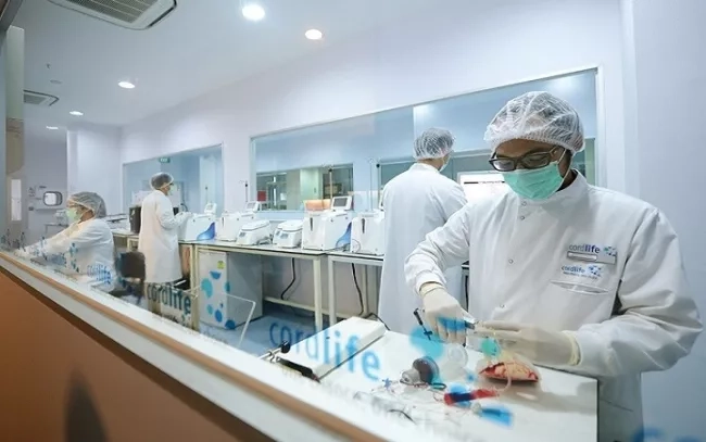 Cordlife staff working in a laboratory